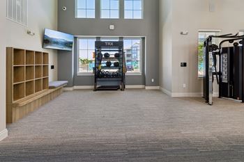 Fitness center with trx system and weight equipment